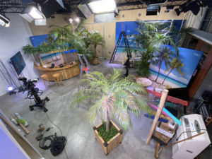 studio 3 met tropical beach decor palm trees